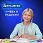Набор чертежный средний BRAUBERG "FRUITY" (линейка 20 см, 2 треугольника, транспортир), ассорти, пенал, 210771 (арт. 210771)