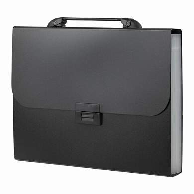 Папка-портфель пластиковая BRAUBERG "Energy" А4 (330х256х32 мм), 7 отделений, черная, 221204 (арт. 221204)