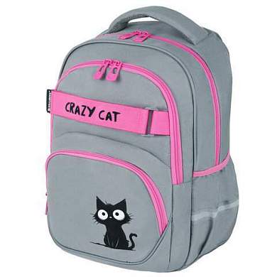 Рюкзак BRAUBERG MOTION, 2 отделения, 3 кармана, "Crazy cat", 41х28х17 см, 273115 (арт. 273115)