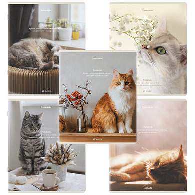 Тетради ДЭК А5 48 л. КОМПЛЕКТ 5 шт. BRAUBERG, скоба, клетка, матовая ламинация, "Cats", 404673 (арт. 404673)