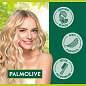 Шампунь 450 мл PALMOLIVE НАТУРЭЛЬ "Миндаль", для сухих, поврежденных волос, 8718951556362 (арт. 609042)