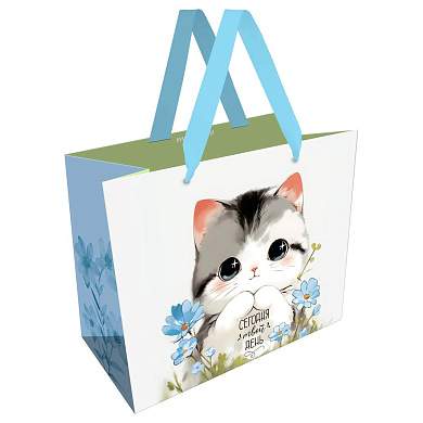 Пакет подарочный 32*26*12см MESHU "Cute kitten", матовая ламинация (арт. 382341)