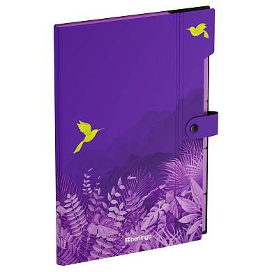 Папка 5 отделений Berlingo "Flower Art", А4, 600мкм, на кнопке, с рисунком (арт. 369297)