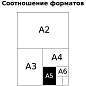 Тетрадь 48л., А5, клетка BG "Прощай, жестокий мир!", soft-touch ламинация, неоновый пантон (арт. 338733)