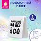 Пакет подарочный (1 штука) 26х13х32 см (L) "Выглядишь на все 100", крафт, ЗОЛОТАЯ СКАЗКА, 700847 (арт. 700847)
