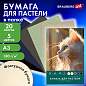 Бумага для пастели БОЛЬШАЯ А3 в папке, 20 листов, 5 цветов, 180 г/м2, BRAUBERG ART CLASSIC, 116346 (арт. 116346)