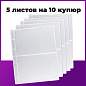 Листы-вкладыши для денежных купюр для альбома "Оптима" М9-05, комплект 5 шт., 200х250 мм, 2 кармана, ЛМБ-02 (арт. 235853)