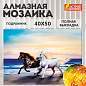 Картина стразами (алмазная мозаика) 40х50 см, ОСТРОВ СОКРОВИЩ "Бегущие по волнам", на подрамнике, 662428 (арт. 662428)