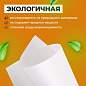 Бумага для творчества и упаковки, газетная, рулон 840 мм х 300 м, 45 г/м2, BRAUBERG, 665567 (арт. 665567)