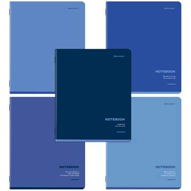 Тетради ДЭК А5 48 л. КОМПЛЕКТ 5 шт. BRAUBERG, скоба, клетка, SoftTouch, "КЛАССИКА BLUE", 404913 (арт. 404913)