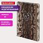 Ежедневник недатированный с резинкой А5 145х203 мм, BRAUBERG, твердый, 128 л., "Snake print", 116286 (арт. 116286)