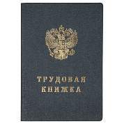Бланк Трудовая книжка Гознак (арт. 349212)