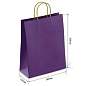 Крафт пакет бумажный Dark violet 26х15х35см с кручеными ручками, 80 гр/м2, моноцвет,, 112405 (арт. 701003)