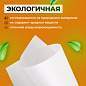 Бумага для творчества и упаковки, газетная, рулон 420 мм х 150 м, 45 г/м2, BRAUBERG, 665563 (арт. 665563)
