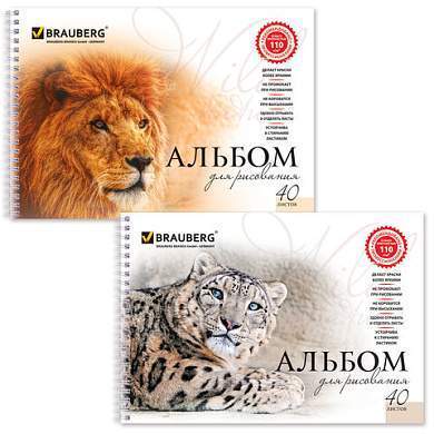 Альбом для рисования, А4, 40 листов, гребень, обложка картон, BRAUBERG, 205х290 мм, "Благородные кошки" (2 вида), 102831 (арт. 102831)