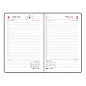 Ежедневник датированный 2027, МАЛЫЙ ФОРМАТ, 100х150 мм, А6, BRAUBERG "Rainbow", под кожу, красный, 118110 (арт. 118110)