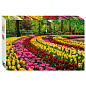 Пазл картонный 500 элементов, АССОРТИ, поле 50х34,5 см, STEP PUZZLE (арт. 667859)