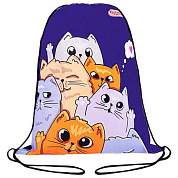 Мешок для обуви ПИФАГОР, 1 отделение, 42х34 см, "Cats greetings", 272382 (арт. 272382)
