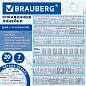 Линейки пластиковые 20 см справочные BRAUBERG, НАБОР 7 шт., универсальный для школы, пенал, 210892 (арт. 210892)