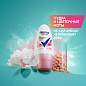 Антиперспирант шариковый 50 мл, REXONA "Сухость пудры" (арт. 609836)