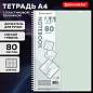 Тетрадь обложка пластик, А4 80 л., гребень мягкий, вырубка для ручки, клетка, BRAUBERG, светло-зеленый, 405373 (арт. 405373)