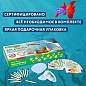Набор для раскопок "Морские животные", 12 видов, карточки, инструменты, BRAUBERG KIDS, 665126 (арт. 665126)