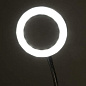 Лупа настольная на прищепке с LED-ПОДСВЕТКОЙ, диаметр 75 мм, увеличение 3, BRAUBERG, 455931 (арт. 455931)